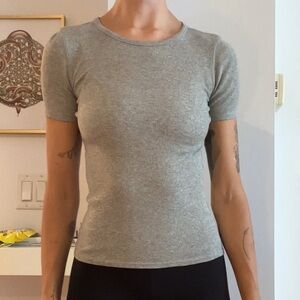 Everlane Gray Fitted Short Sleeve Tee